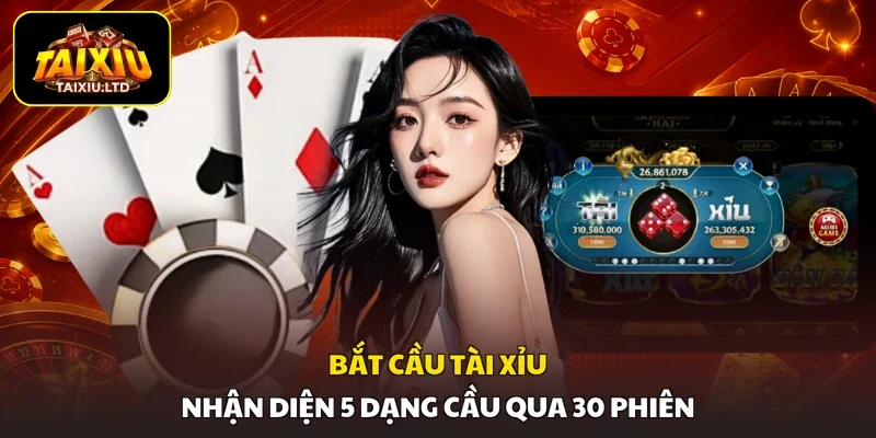 Bắt Cầu Tài Xỉu | Nhận Diện 5 Dạng Cầu Qua 30 Phiên