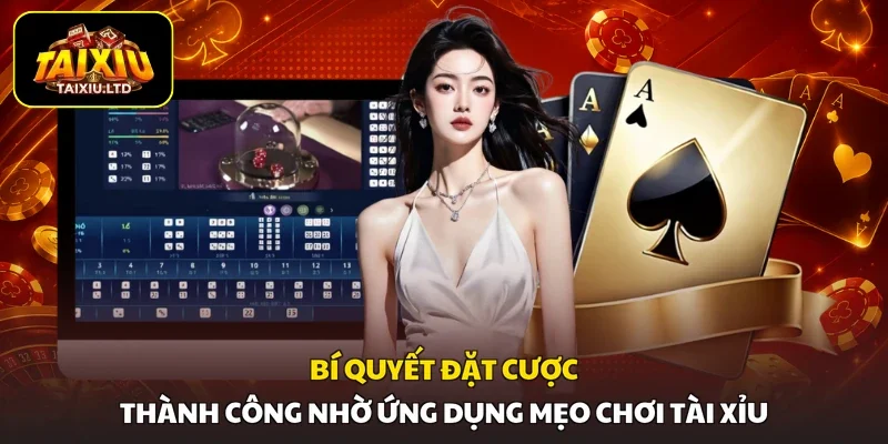 Bí quyết đặt cược thành công nhờ ứng dụng mẹo chơi tài xỉu