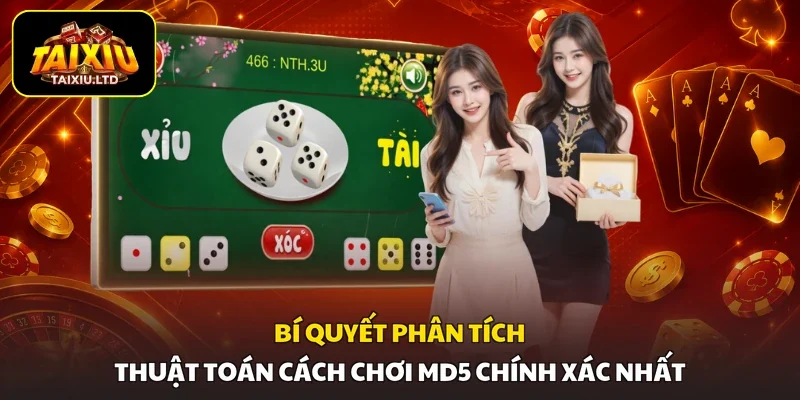 Bí quyết phân tích thuật toán cách chơi MD5 chính xác nhất