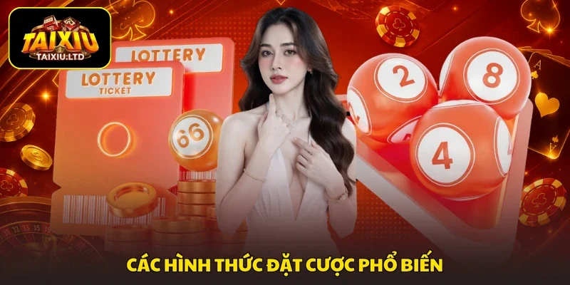 Các hình thức đặt cược phổ biến