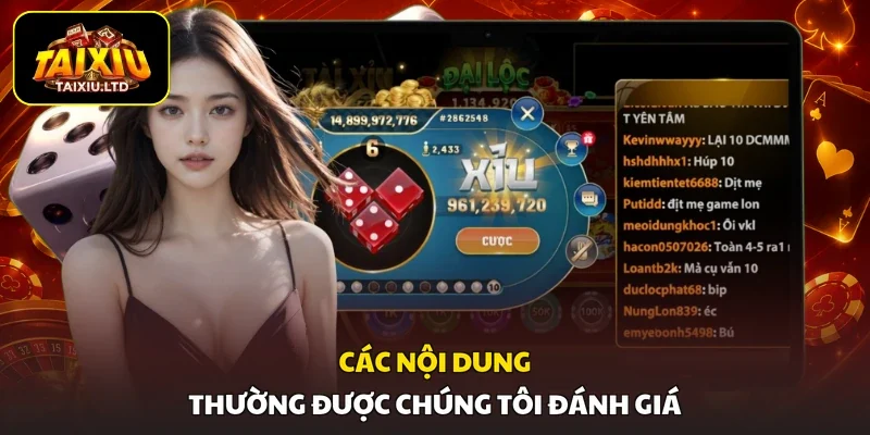 Các nội dung thường được chúng tôi đánh giá