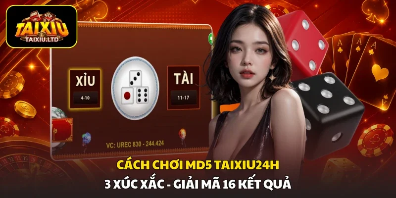 Cách Chơi MD5 Taixiu24h | 3 Xúc Xắc - Giải Mã 16 Kết Quả