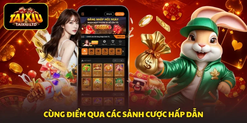 Cùng điểm qua các sảnh cược hấp dẫn