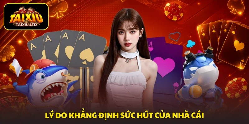 Lý do khẳng định sức hút của nhà cái