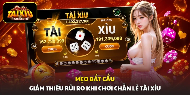 Mẹo bắt cầu giảm thiểu rủi ro khi chơi chẵn lẻ Tài Xỉu