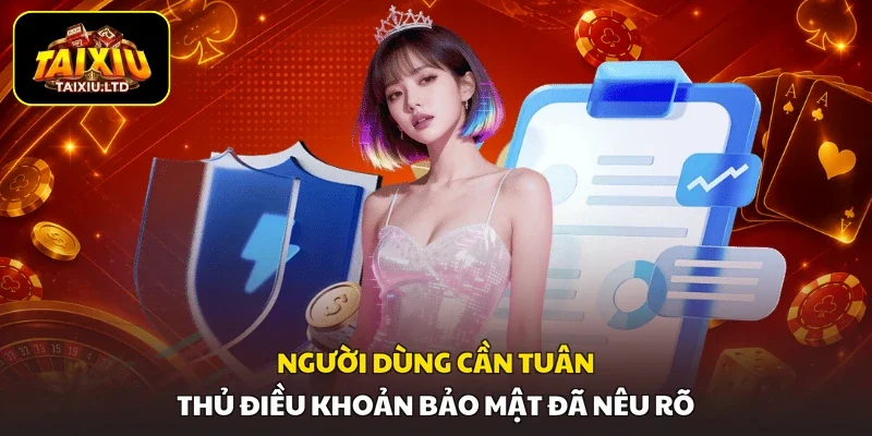 Người dùng cần tuân thủ điều khoản bảo mật đã nêu rõ
