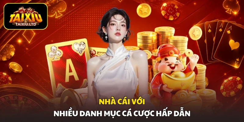 Nhà cái với nhiều danh mục cá cược hấp dẫn