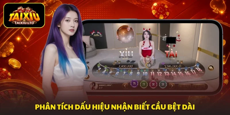 Phân tích dấu hiệu nhận biết cầu bệt dài