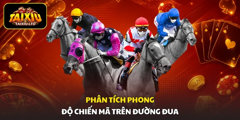 Phân tích phong độ chiến mã trên đường đua