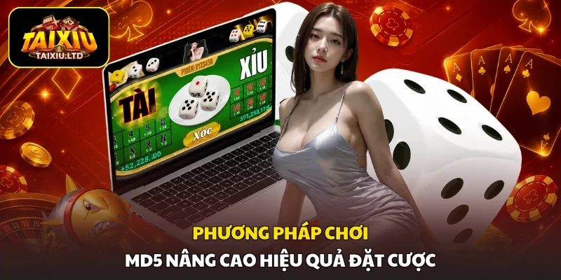 Phương pháp chơi MD5 nâng cao hiệu quả đặt cược