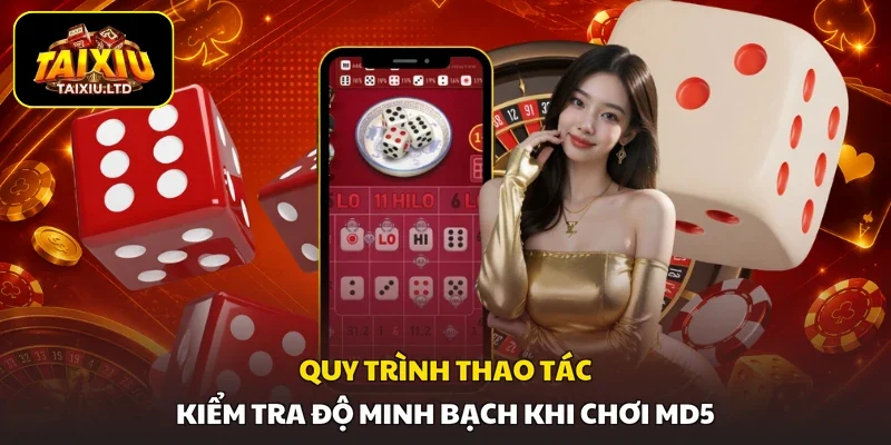 Quy trình thao tác kiểm tra độ minh bạch khi chơi MD5