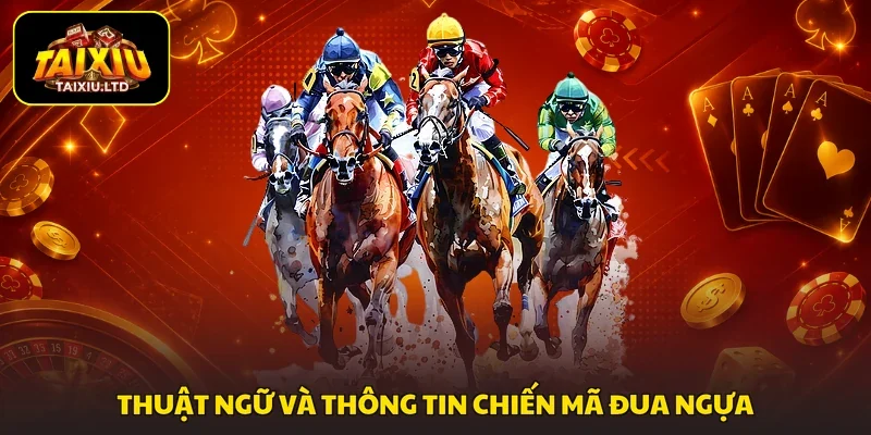 Thuật ngữ và thông tin chiến mã đua ngựa