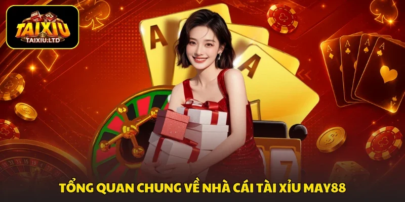 Tổng quan chung về nhà cái tài xỉu MAY88